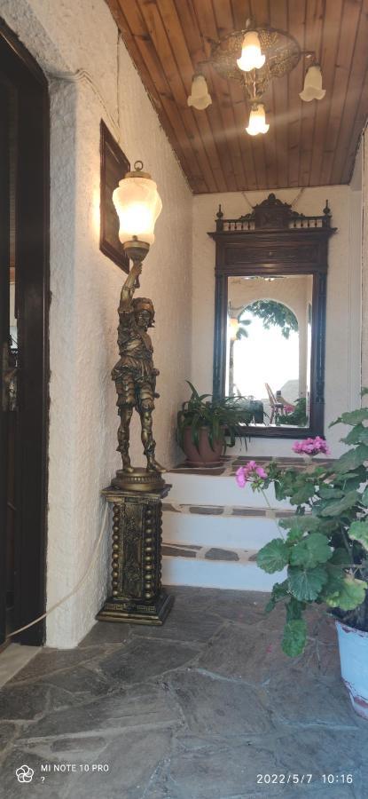 Odysseas Hotel Samos Dış mekan fotoğraf