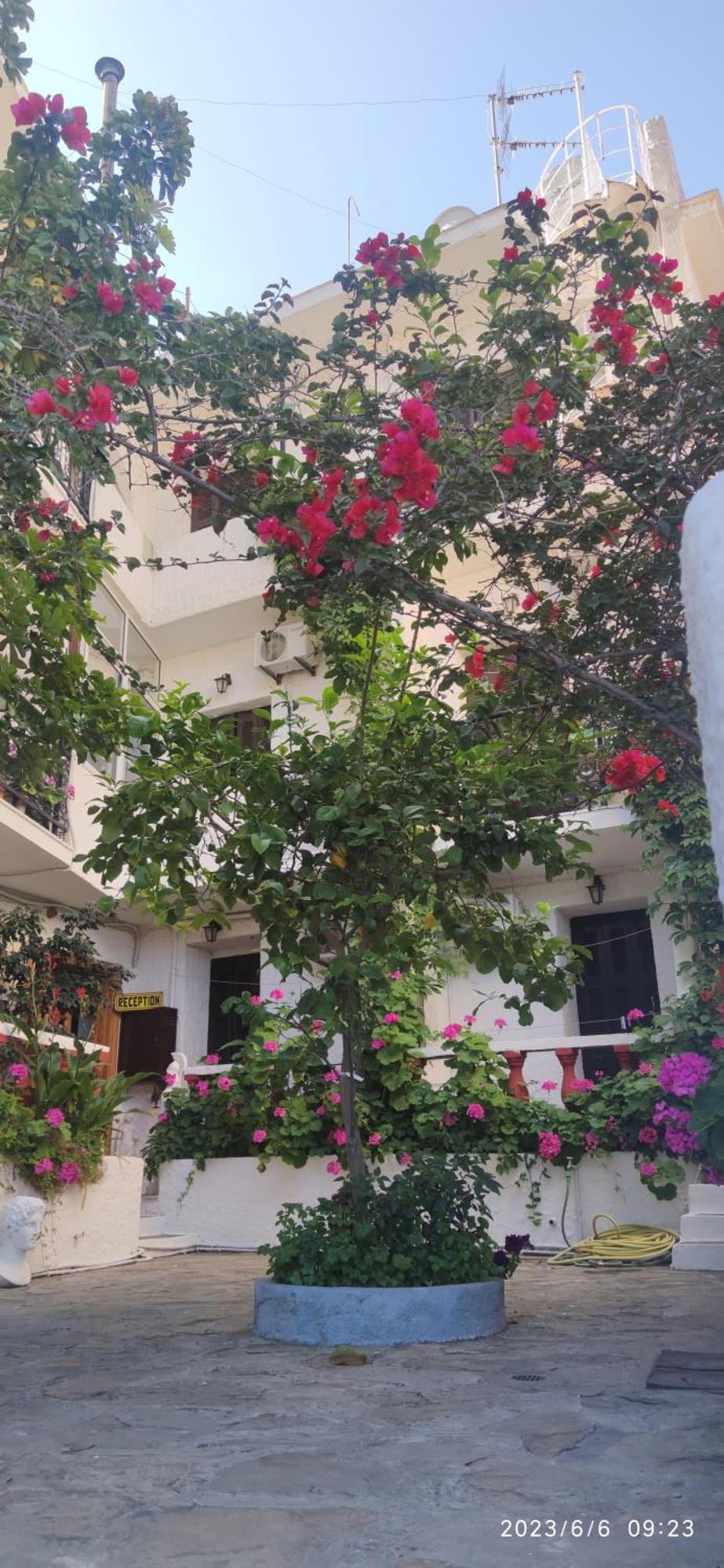 Odysseas Hotel Samos Dış mekan fotoğraf